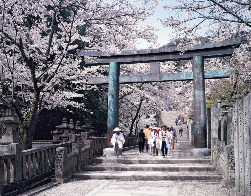 ⛩️ 야시마 신사 (Yashima Jinja) 이미지 5
